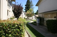 Clubside Apartments in Davis, CA - Building Photo - Building Photo