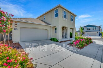 567 Datura Dr in Vacaville, CA - Building Photo - Building Photo