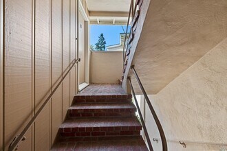 343 Somerset Rd in Piedmont, CA - Building Photo - Building Photo