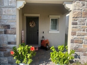 20068 Stone Pine Cir in Lutz, FL - Building Photo - Building Photo