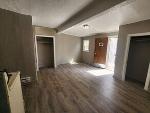 1042 N Clarkson St in Denver, CO - Building Photo - Building Photo