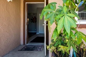 4257 N Forestiere Ave in Fresno, CA - Building Photo - Building Photo