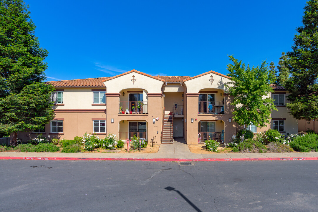 Vineyard Family Apartments in Olivehurst, CA - Building Photo