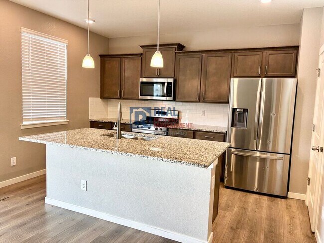 2051 Rosette Ln in Castle Rock, CO - Building Photo - Building Photo