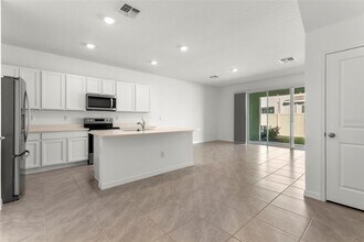 17205 Bigleaf Mahogany Ln in Land O Lakes, FL - Building Photo - Building Photo