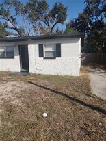 1401 E Sitka St in Tampa, FL - Building Photo