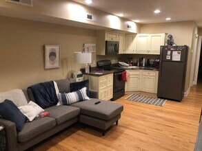 28 Dove St, Unit 1 in Albany, NY - Building Photo - Building Photo