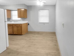 28 Ridgewood St in Kalamazoo, MI - Building Photo - Building Photo