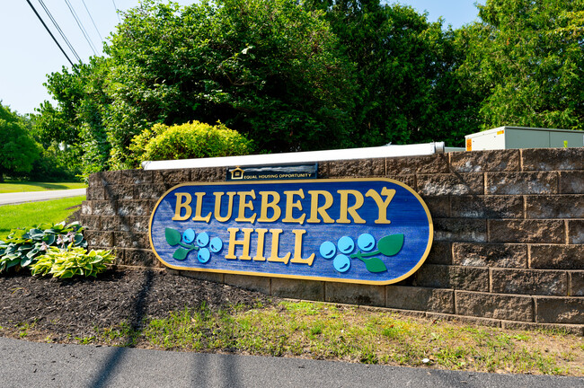 Blueberry Hill Apartments in Rochester, NY - Building Photo - Building Photo