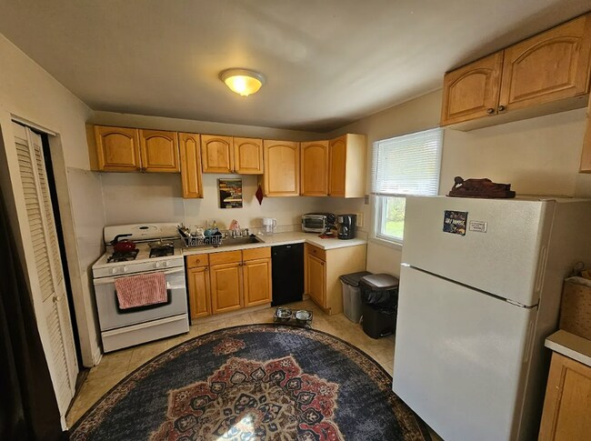 10211 Troy St in Oak Park, MI - Building Photo - Building Photo