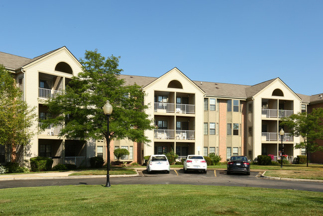 Rosehaven Manor Apartments photo'