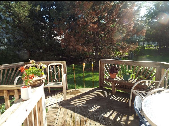 1336 Summersweet Ln in Bartlett, IL - Building Photo - Building Photo