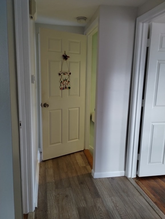 38 Sargents Ct in Lynn, MA - Building Photo - Building Photo