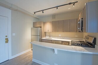 432 W Belmont Ave in Chicago, IL - Building Photo - Building Photo
