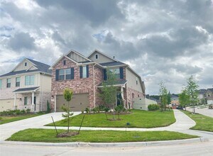 17697 Tree of Heaven in Conroe, TX - Building Photo - Building Photo