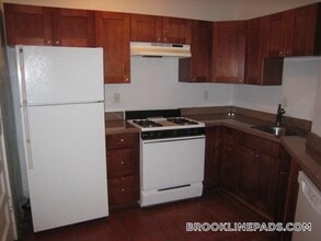 66 Egmont St in Brookline, MA - Building Photo - Building Photo