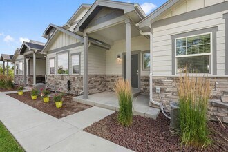 290 E Chestnut in Windsor, CO - Building Photo - Building Photo