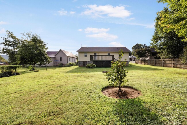 311 S Cedar Ave in Elizabethton, TN - Building Photo - Building Photo