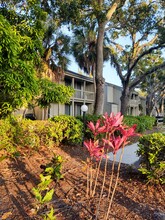 2208 Bahia Vista St, Unit F1 in Sarasota, FL - Building Photo - Building Photo