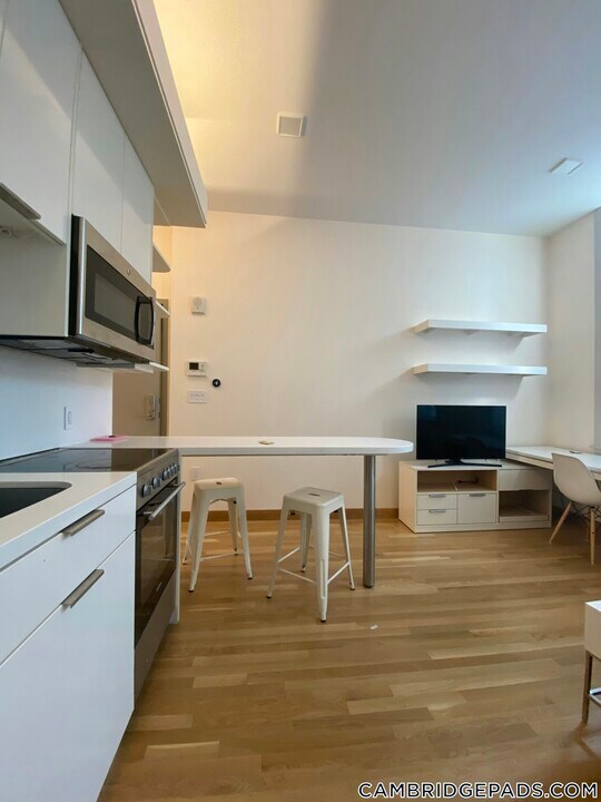 115 Mt Auburn St in Cambridge, MA - Building Photo