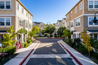 Newton Square in Mountain View, CA - Foto de edificio - Building Photo