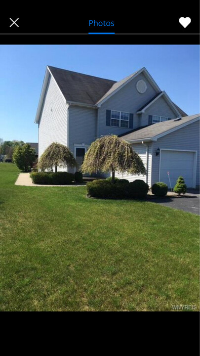 5157 Briercliff Dr in Hamburg, NY - Building Photo