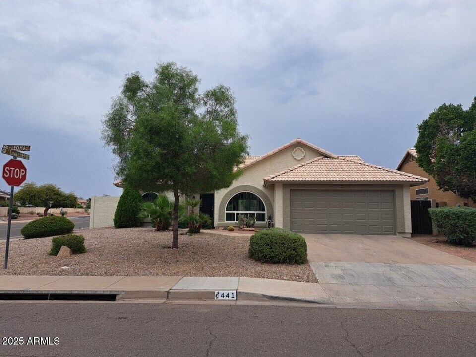441 N Leoma Ln in Chandler, AZ - Building Photo