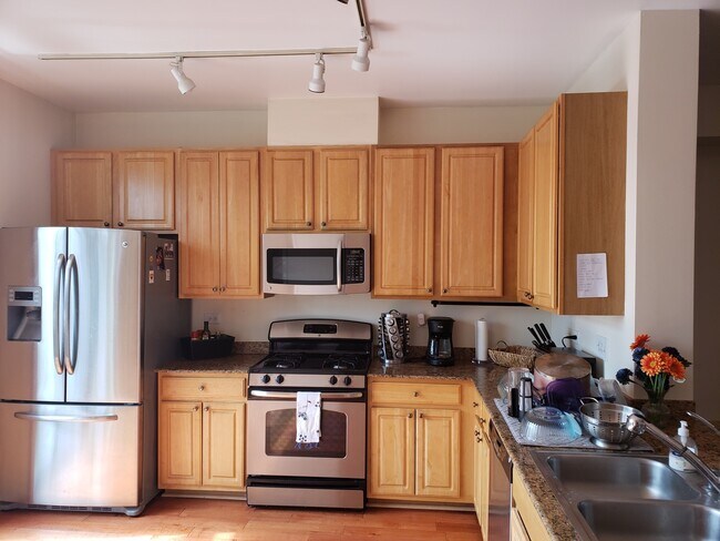 717 W Evergreen Ave in Chicago, IL - Building Photo - Building Photo
