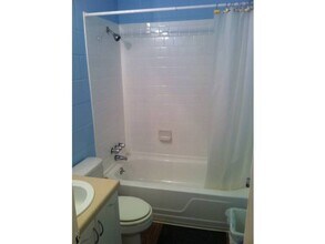 316 Genelda Ave in Auburn, AL - Building Photo - Building Photo