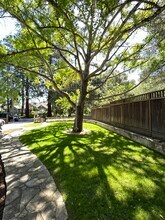 903 Timothy Ln in Menlo Park, CA - Building Photo - Building Photo