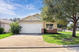 19115 Wild Yaupon Dr in Cypress, TX - Building Photo