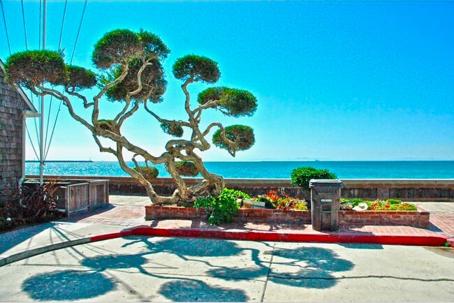 15 64th Pl, Unit Upstairs Beach Suite in Long Beach, CA - Foto de edificio - Building Photo
