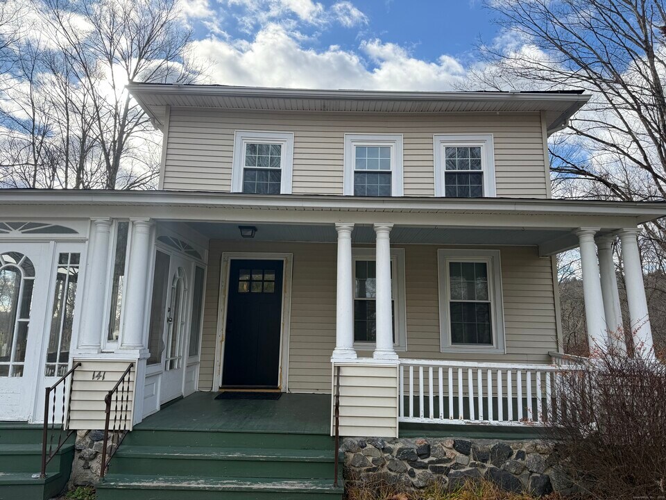 141 Washington Rd in Woodbury, CT - Building Photo