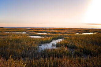 Goddard Point Hope in Charleston, SC - Building Photo - Building Photo