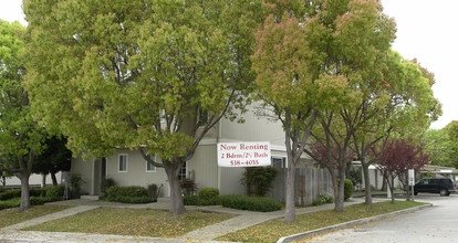 Forest Avenue Townhomes in Castro Valley, CA - Building Photo - Building Photo