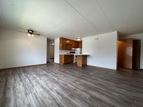 The Midtown Apartments in Rochester, MN - Building Photo - Building Photo