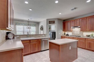 19 S Linton Ridge Cir in Spring, TX - Building Photo - Building Photo