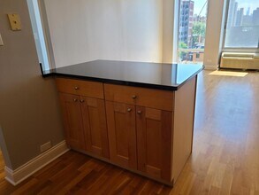 450 W Briar Pl in Chicago, IL - Building Photo - Building Photo