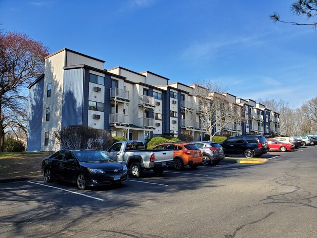 Silvertree Apartments in Wallingford, CT - Foto de edificio - Building Photo