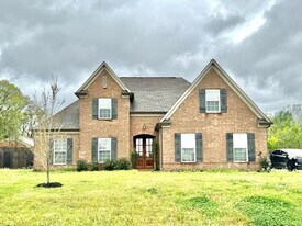 4319 Davall Cir in Olive Branch, MS - Building Photo
