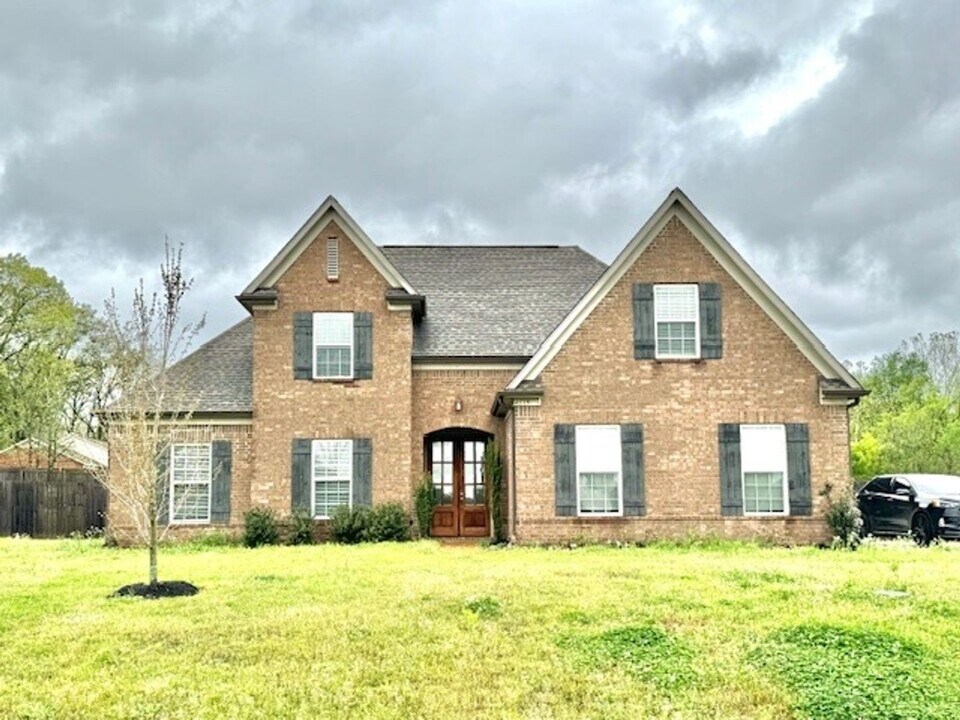 4319 Davall Cir in Olive Branch, MS - Building Photo