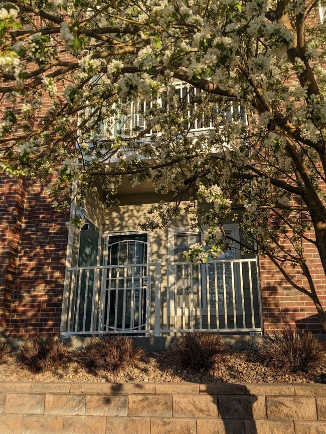 2682 S Cathay Way Rentals in Aurora, CO