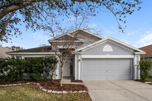 10428 Hunters Haven Blvd in Riverview, FL - Building Photo