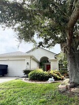 31138 Harthorn Ct in Wesley Chapel, FL - Building Photo