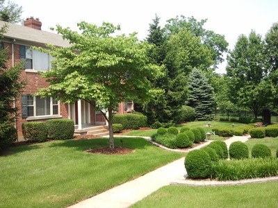 Cherokee Triangle in Louisville, KY - Foto de edificio - Building Photo