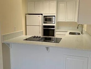 313 Crocus Ct in Encinitas, CA - Building Photo - Building Photo