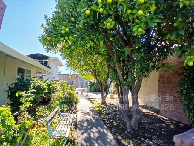 870 Castlewood Dr in Los Gatos, CA - Building Photo - Building Photo