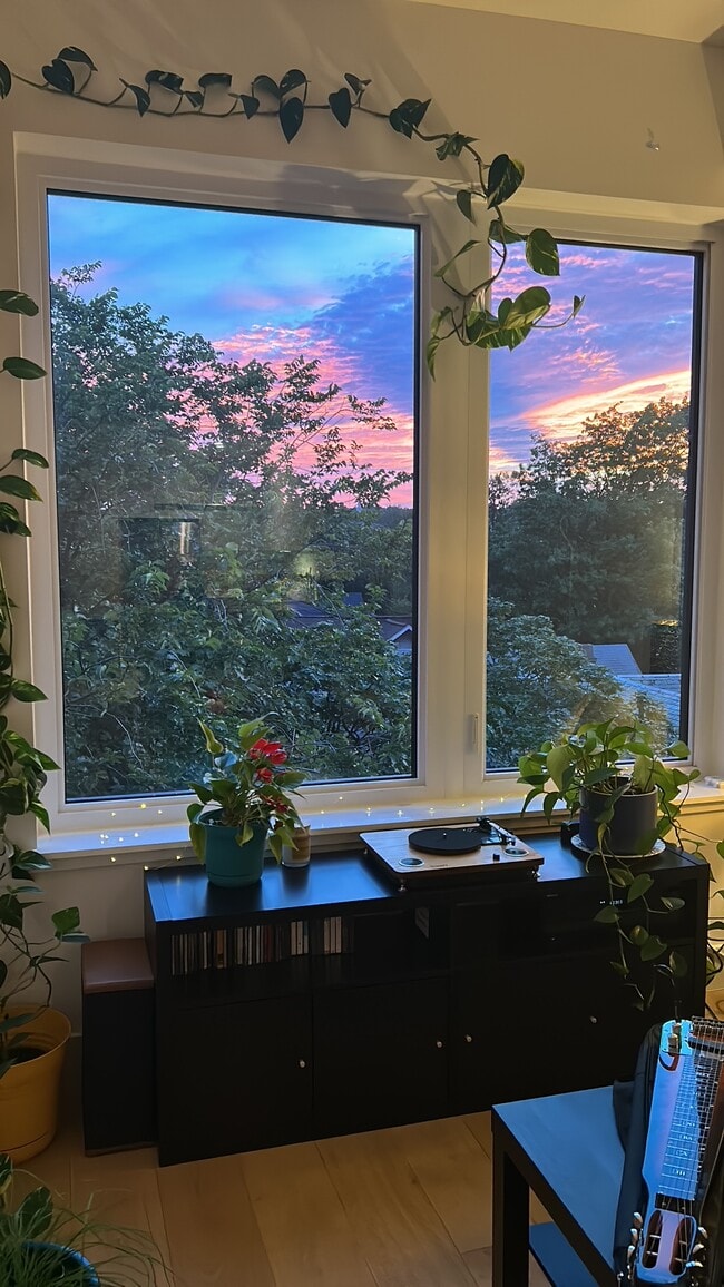 4804 Georgia Ave NW, Unit Penthouse 3 in Washington, DC - Foto de edificio - Building Photo