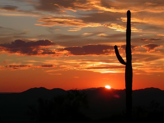 Apartments for rent in East Side, AZ