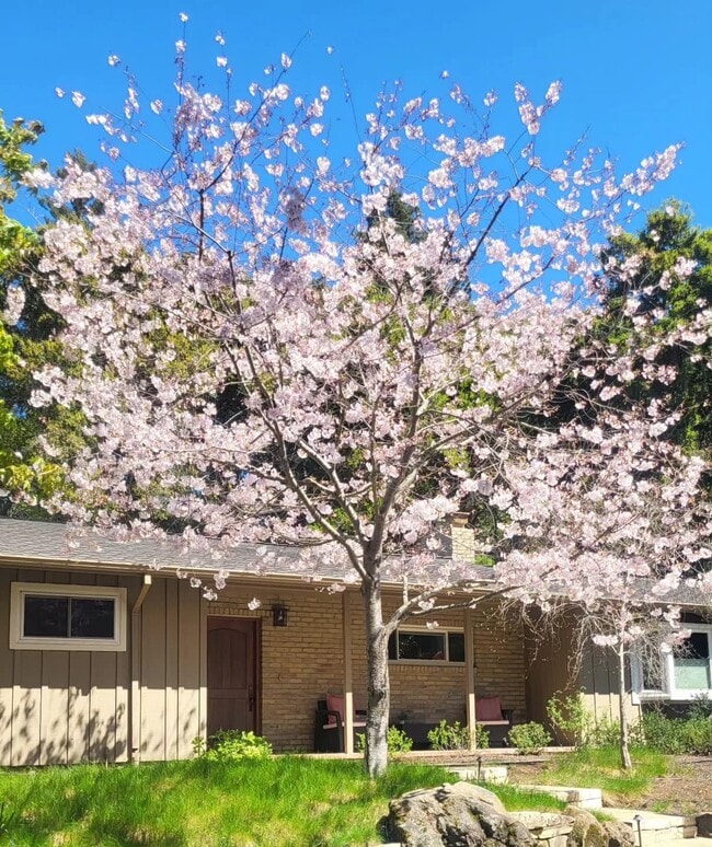 111 Escanyo Way in Menlo Park, CA - Building Photo - Building Photo